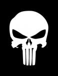ThePunisher