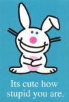 Bunnyboy
