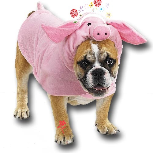 Click image for larger version

Name:	pig_costume1.jpg
Views:	220
Size:	60.0 KB
ID:	245394