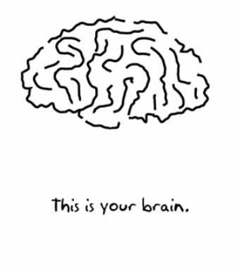 Click image for larger version

Name:	Brain.PNG
Views:	223
Size:	34.6 KB
ID:	246117