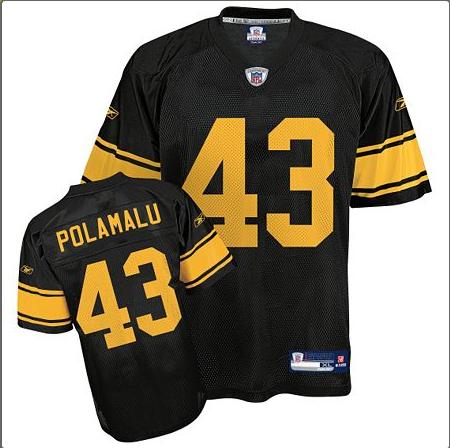 Click image for larger version

Name:	Polamalu.JPG
Views:	141
Size:	32.9 KB
ID:	246433