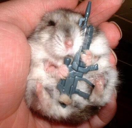 Click image for larger version

Name:	hamster_with_gun.JPG
Views:	229
Size:	86.1 KB
ID:	247499