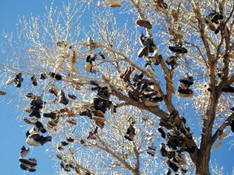 Click image for larger version

Name:	shoe-tree.jpg
Views:	195
Size:	80.7 KB
ID:	249787