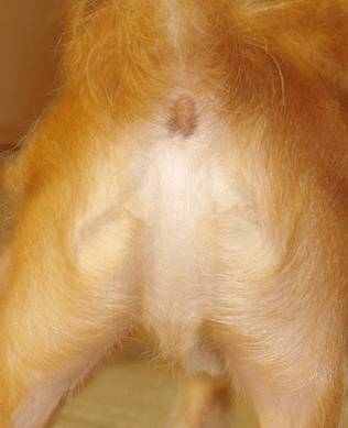 Click image for larger version

Name:	dog-ass-jesus.jpg
Views:	249
Size:	12.6 KB
ID:	250514